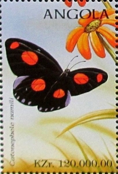 25th Anniversary of Andorran Red Cross