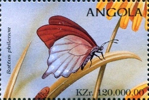 Lilac-breated roller (Coracias caudata)