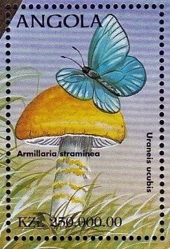 Princess Diana (1st series)