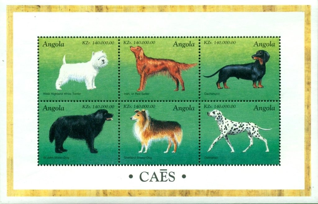 Legend "TAXE PERÇUE/TAXA COBRADA"