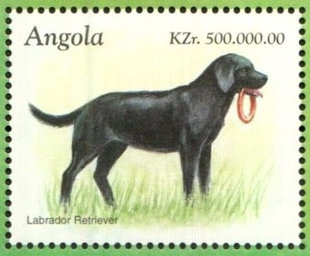 Youth with Computer Motherboard