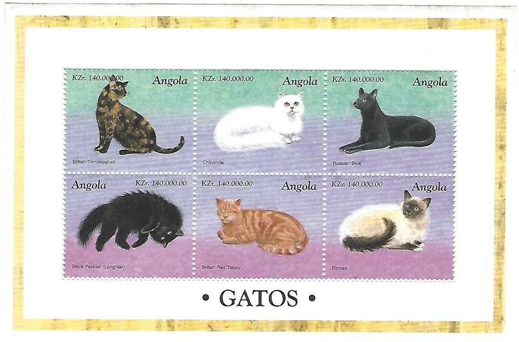 1st Anniversary of the GURN