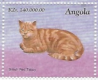 Lesser Swamp Warbler (Acrocephalus gracilirostris)