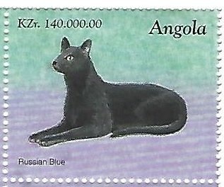 Handicraft - Basketry