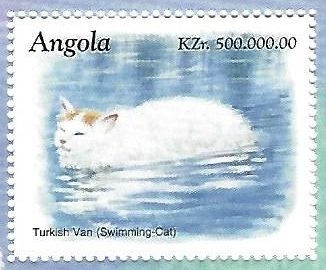 Purple Hairstreak (Favonius quercus)