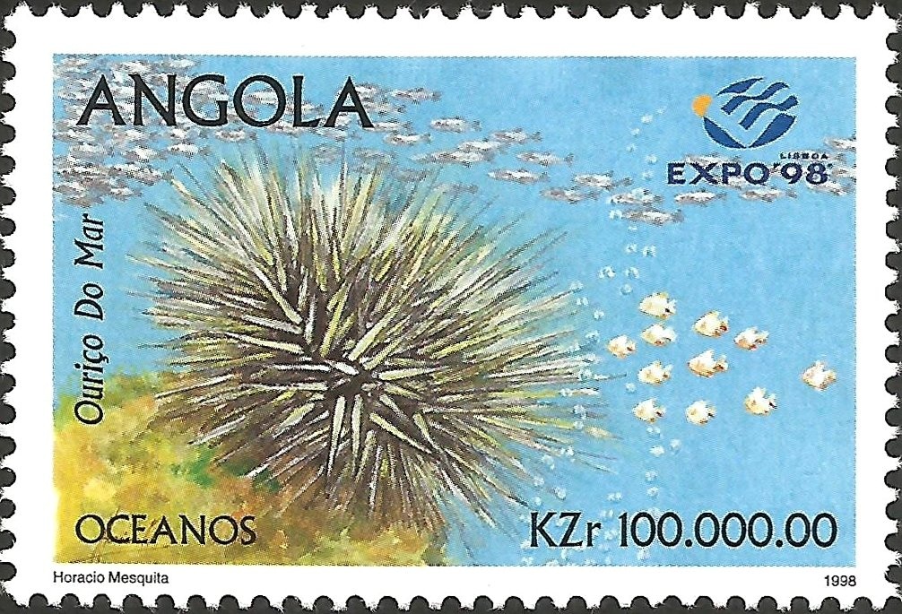 Blue Monkey (Cercopithecus mitis)