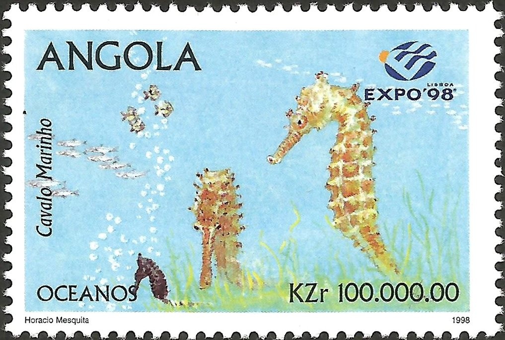 Cape Starling (Lamprotornis phoenicopterus)