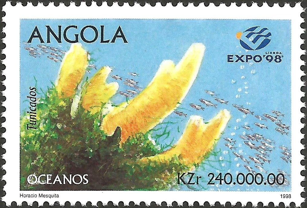 Titanic - The World's Most Legendary Transatlantic