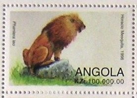 Psalliota xanthoderma