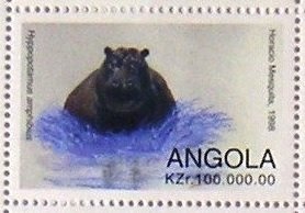 Spinner Dolphin (Stenella longirostris)