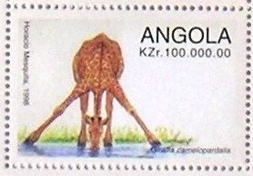 Flagship Sao Gabriel