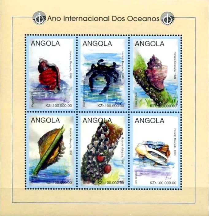 Spinner Dolphin (Stenella longirostris)