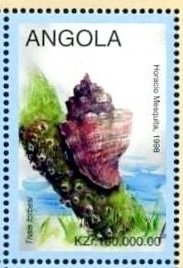 41th World Roller Skate Hockey Championship