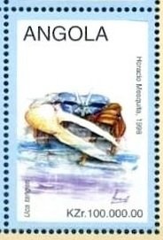 Southern Yellow-billed Hornbill (Tockus leucomelas)