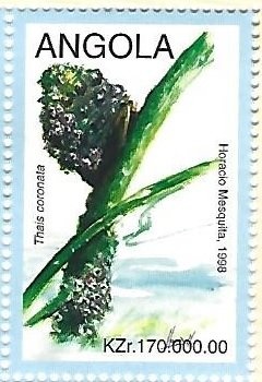 King Carlos I - local overprint "REPUBLICA" and surcharged