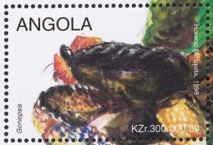 International Year of Literacy