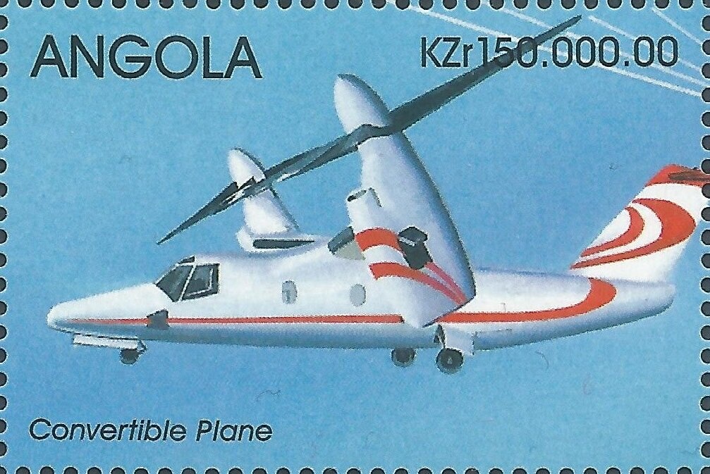 Pygmy Sperm Whale (Kogia breviceps)