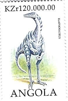 Musical Instruments Angolans