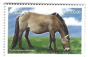 Antonio Manuel, Prince of N'Funta, Ambassador of Congo in Ro