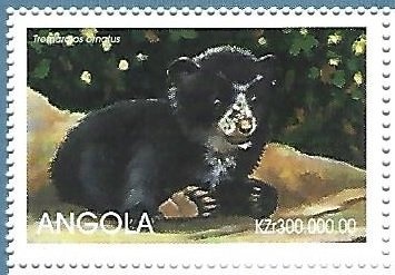 African Butter Catfish (Schilbe mystus)