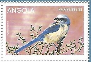 Barkas V901 / 2 Ambulance and AW139 Helicoptro