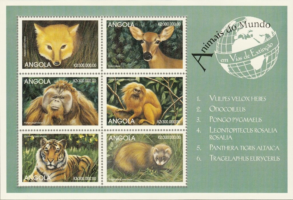 Nelson Mandela with Robben Island Chain