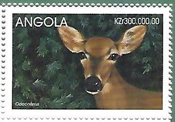 Kibeba (Calamari with Vegetables)