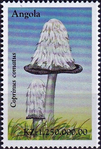 Flora and Fauna Cheetah (Acinonyx subarus) Overprint