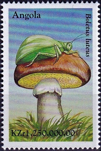 The Called Central Battery Boat, France, 1868 - L'Ócean