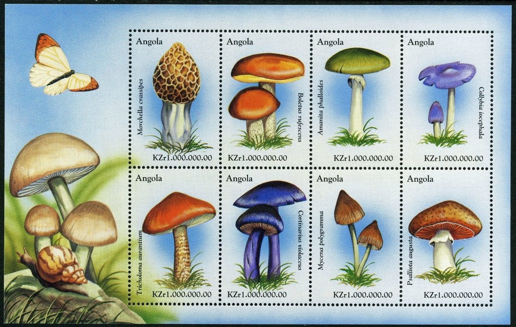 The 4x8x4 Linder Compound Express 1980