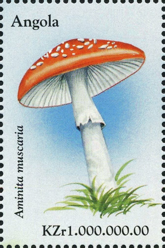 30th São Silvestre Race Luanda