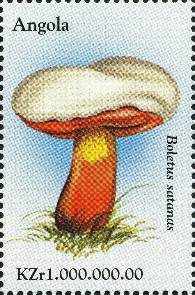 Princess Diana (1st series)