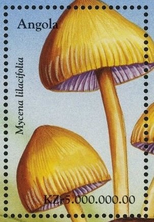 185th Anniversary of the National Mail