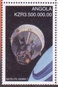 Sea Snail (Pusionella nifat)