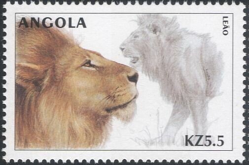 Assistencia-elephant