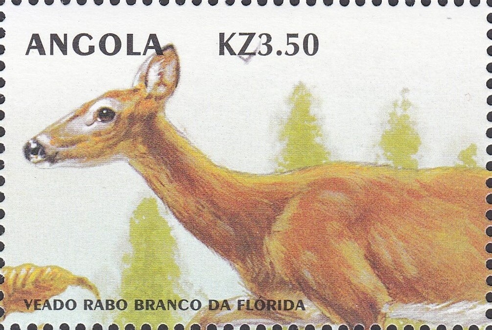 10th Anniversary of the Fundació Privada Tutelar