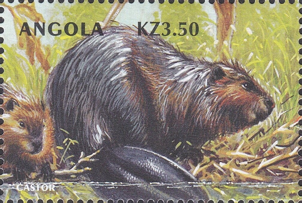 Europa (C.E.P.T.) 2025 - Roc de les Bruixes