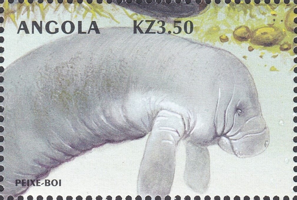 Marsh Fritillary (Euphydryas aurinia)