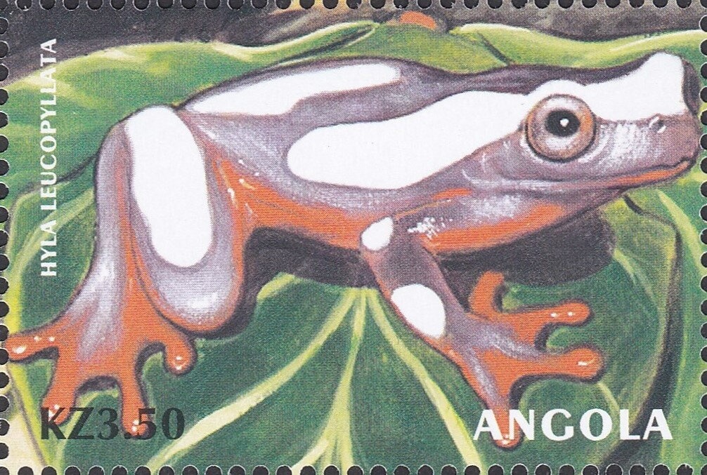 Mousinho de Albuquerque