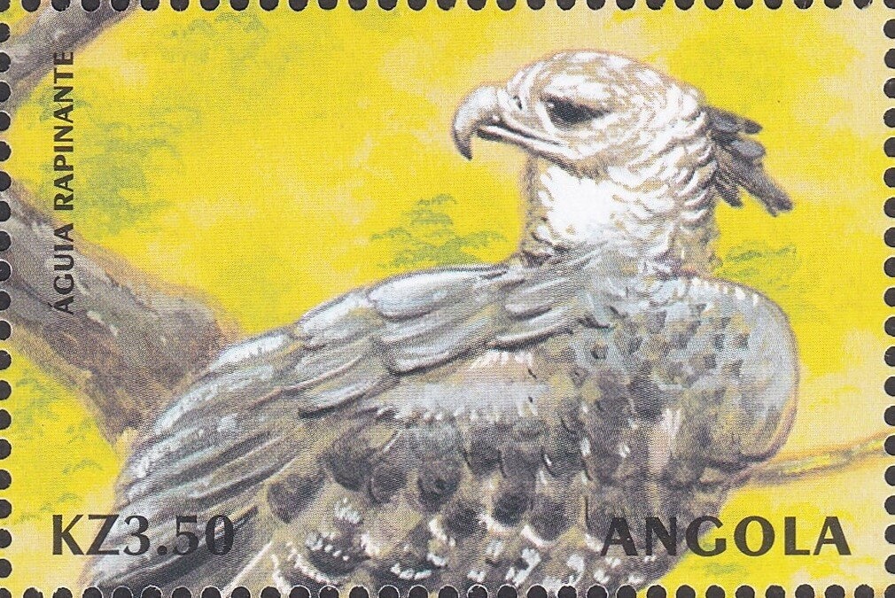 International Year of the Family Agriculture