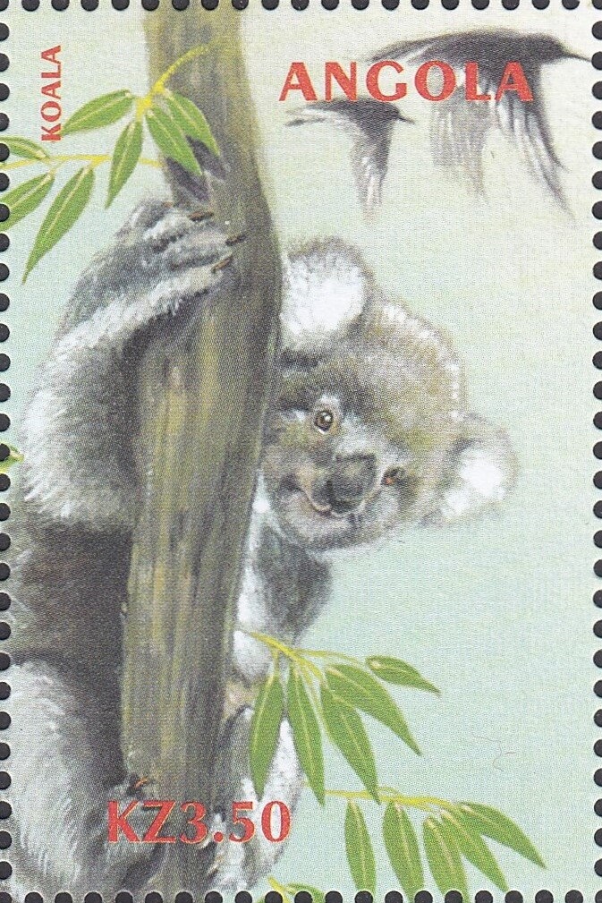 Bateleur (Terathopius ecaudatus)