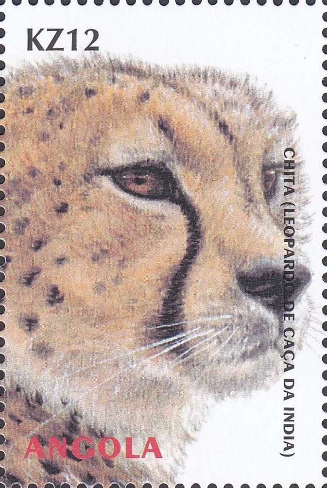 Kung People of Angola