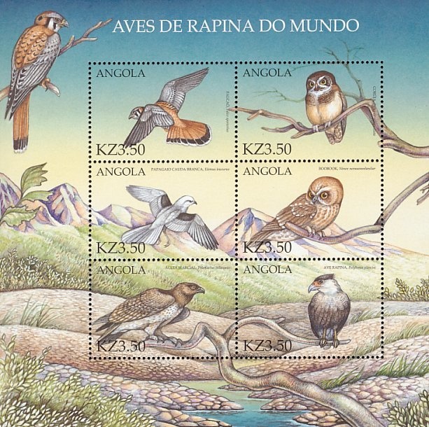 Bar-tailed Trogon (Apaloderma vittatum)