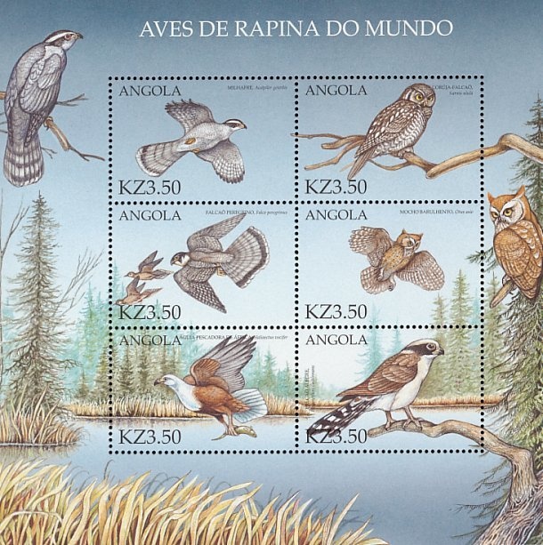 Silverleaf Whitefly (Bemisia tabasi)