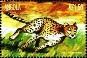 Gliophorus psittacinus