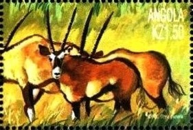 Arrival at Calicut, India