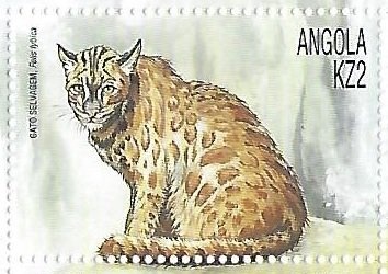 Fairchild Republic A-10 Thunderbolt II