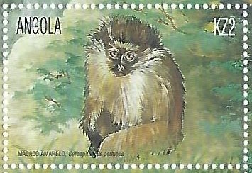 Fleet of Vasco da Gama on the run