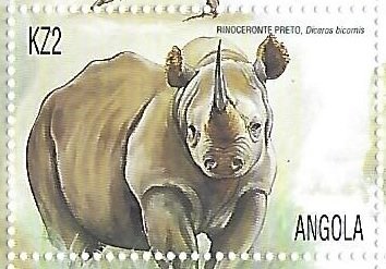 Bateleur (Terathopius ecaudatus)