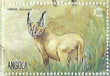 Fish with vegetables